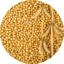Soja