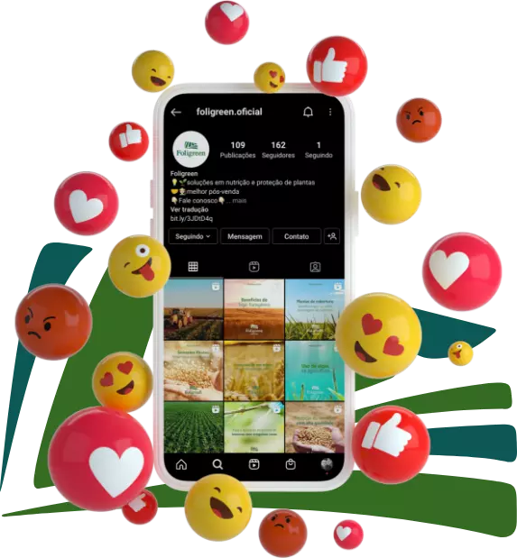 Instagram Foligreen